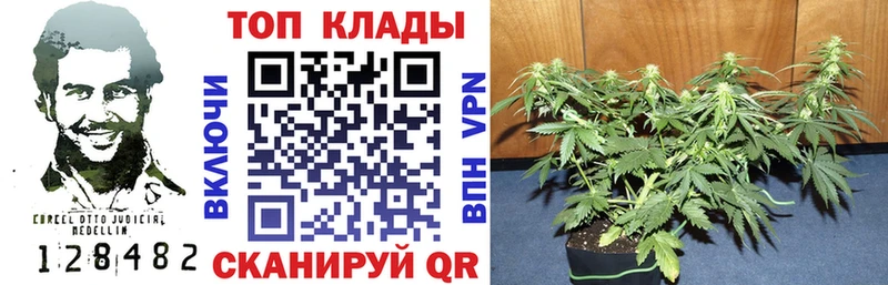 Купить закладку Александровск Бошки Шишки МЕФ