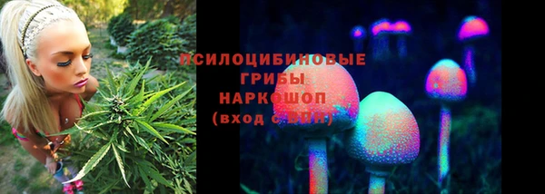 трава Абаза