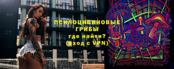 амф Покачи