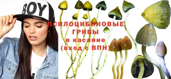 соль ск Абдулино