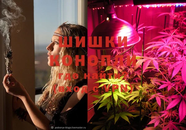 амф Покачи
