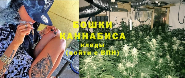 трава Абаза