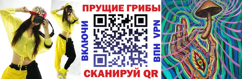 Псилоцибиновые грибы прущие грибы  как найти   Александровск 